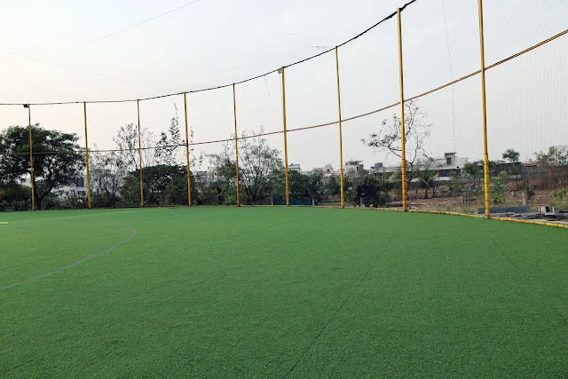 Turf photo 7