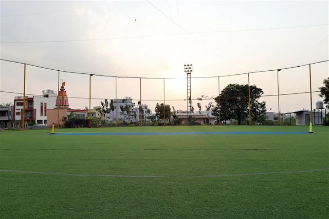 Turf photo 10
