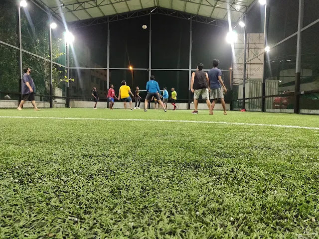 Turf main photo
