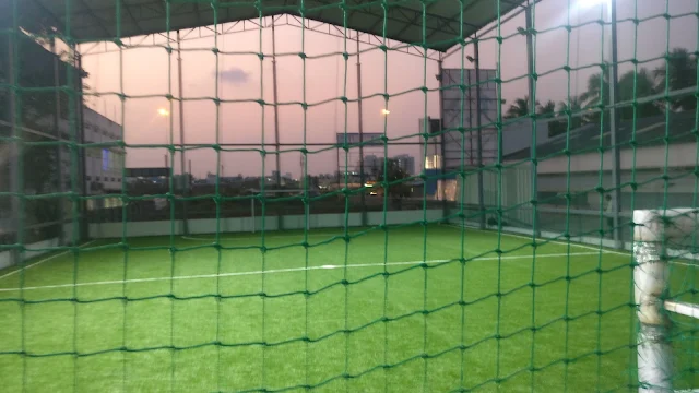 Turf photo 2