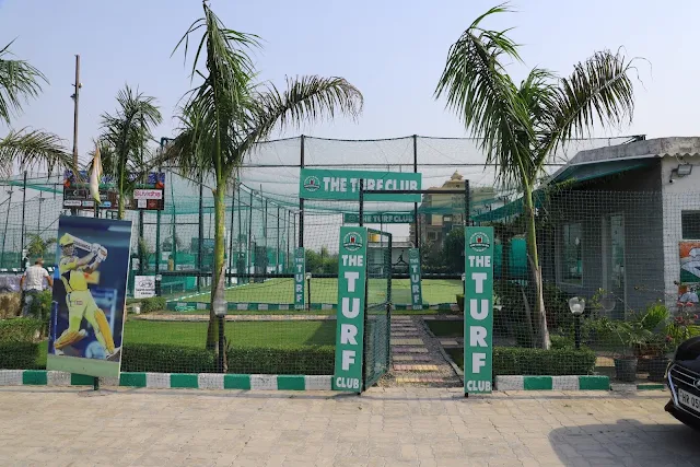 Turf photo 4