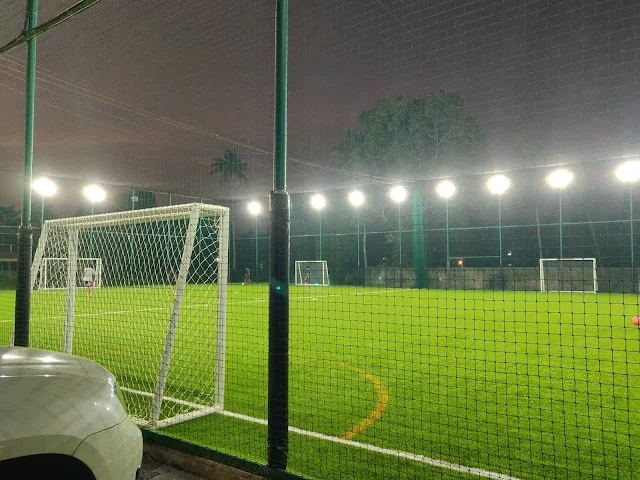 Turf photo 3
