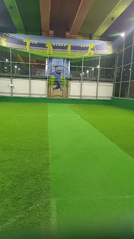 Turf photo 2