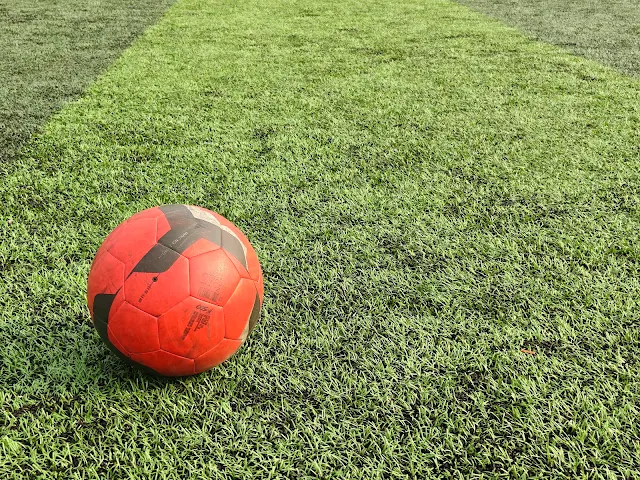 Turf main photo