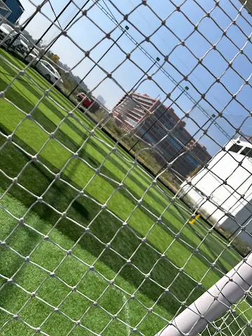 Turf photo 3