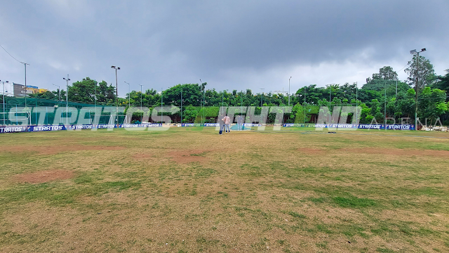 Turf photo 3