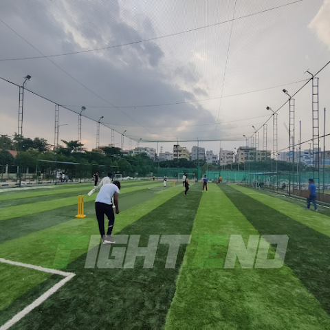 Turf photo 2