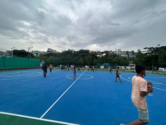 Turf photo 7