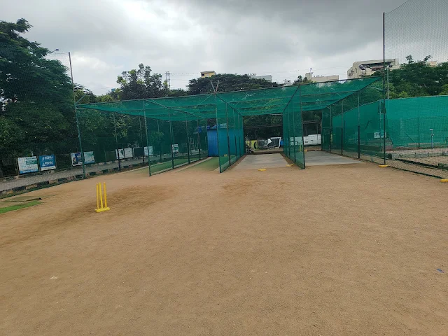 Turf main photo
