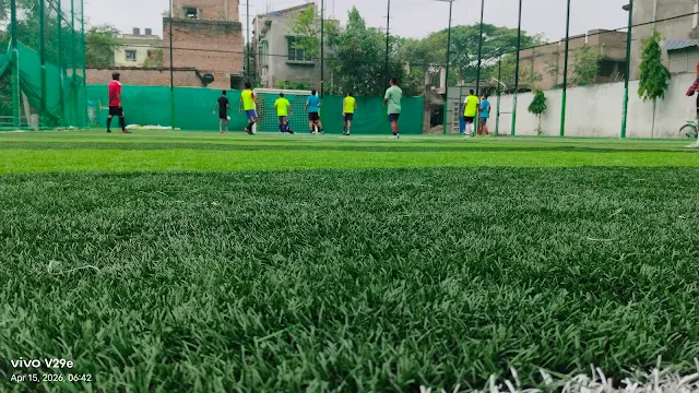 Turf photo 2