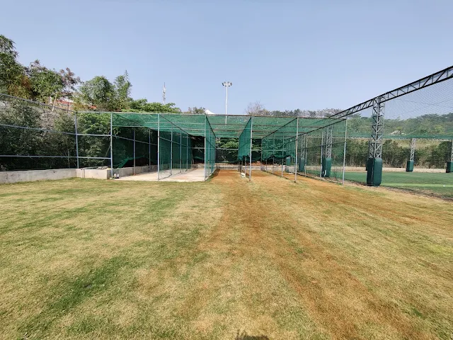 Turf photo 6