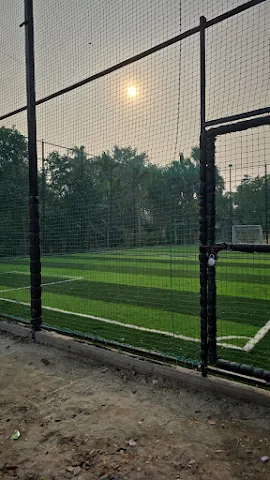 Turf photo 2