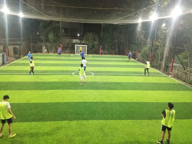 Turf photo 3