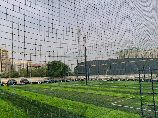 Turf photo 2