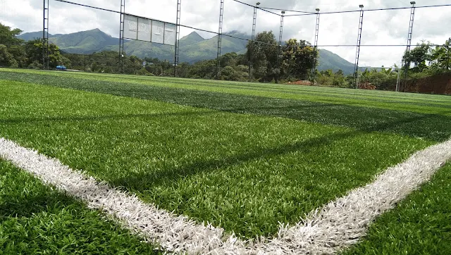 Turf main photo