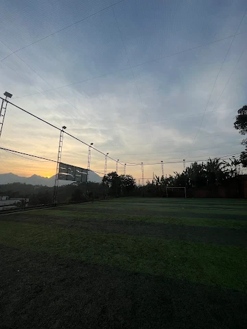 Turf photo 5