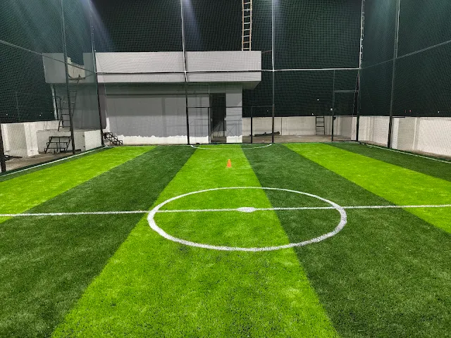 Turf photo 2