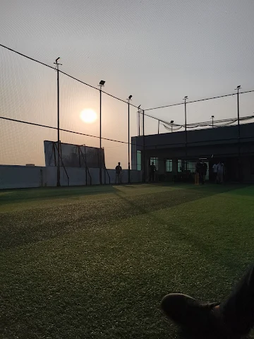 Turf photo 4