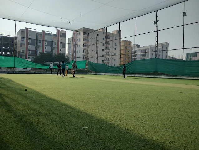 Turf photo 7