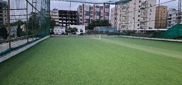 Turf photo 2