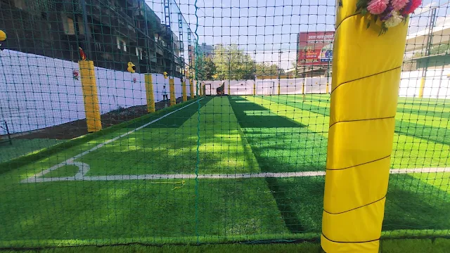 Turf photo 8