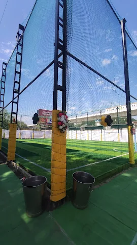 Turf photo 10