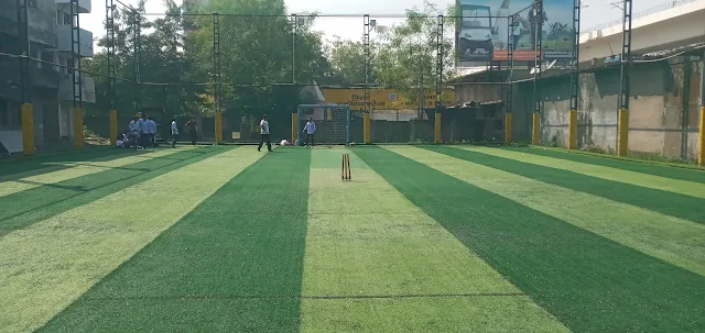 Turf photo 2
