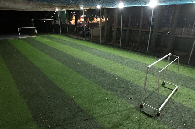 Turf photo 2