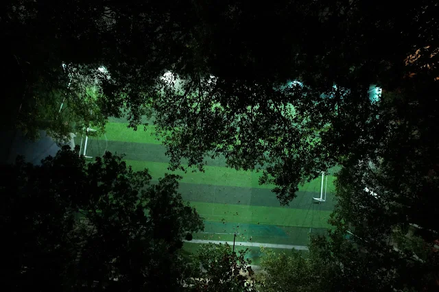 Turf photo 3