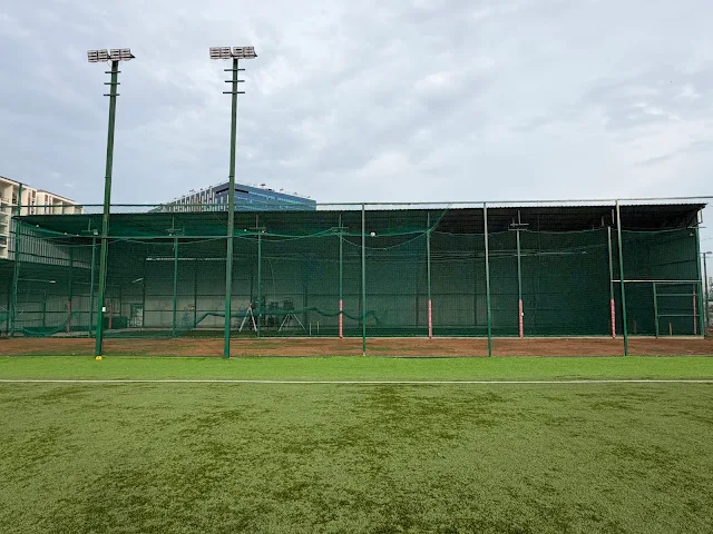 Turf photo 2