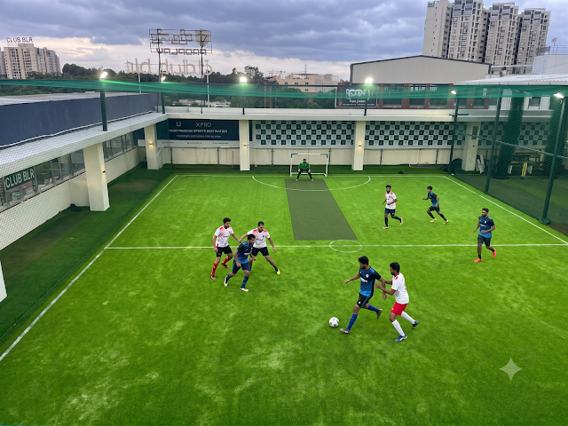 Turf photo 2
