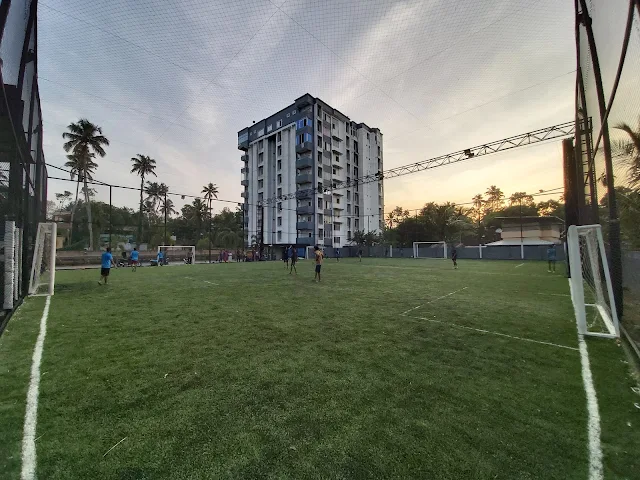 Turf photo 6