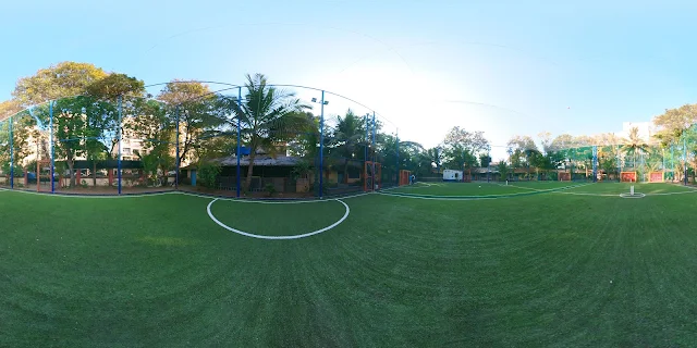 Turf photo 7