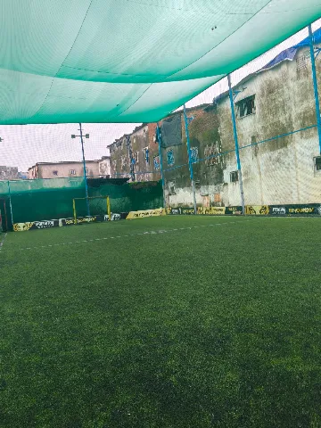 Turf photo 3