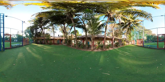 Turf photo 6