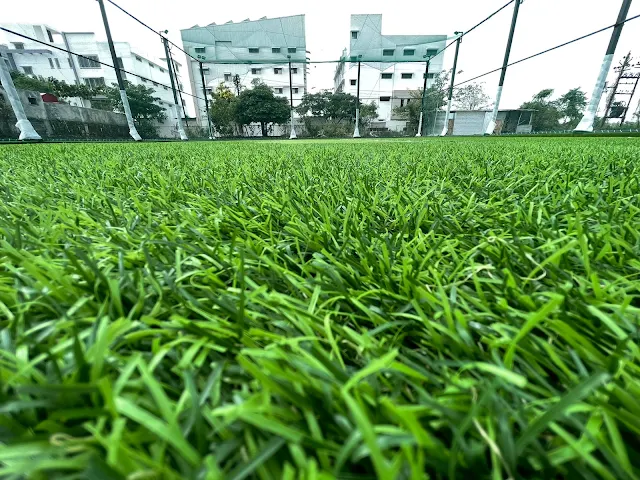 Turf photo 3