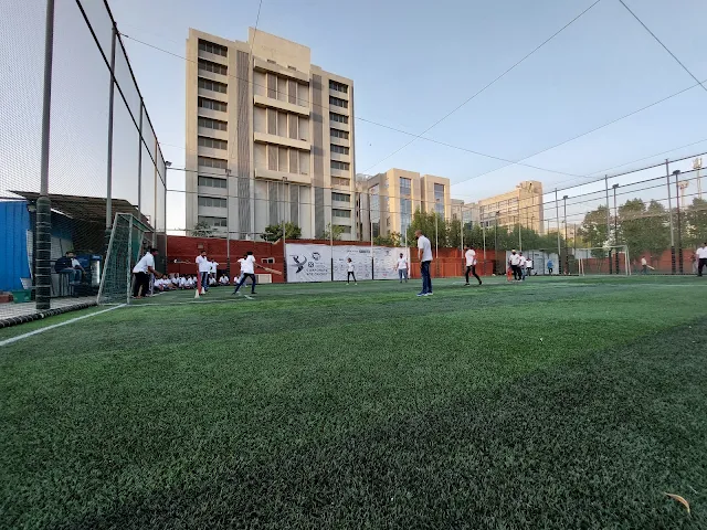 Turf photo 3