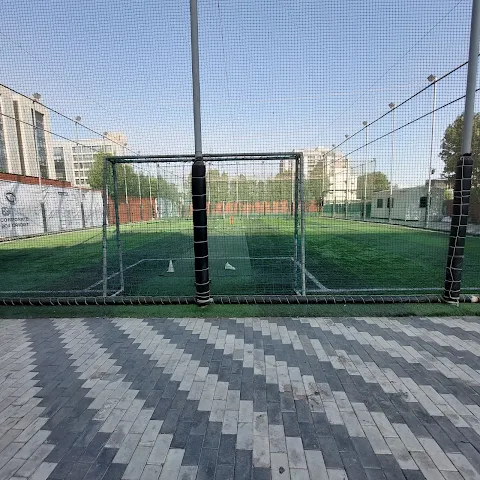 Turf main photo