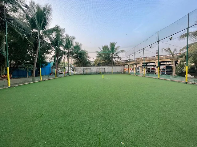 Turf photo 2