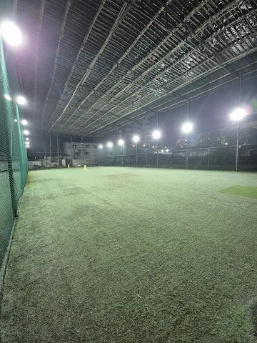 Turf photo 8