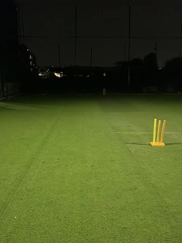 Turf photo 6