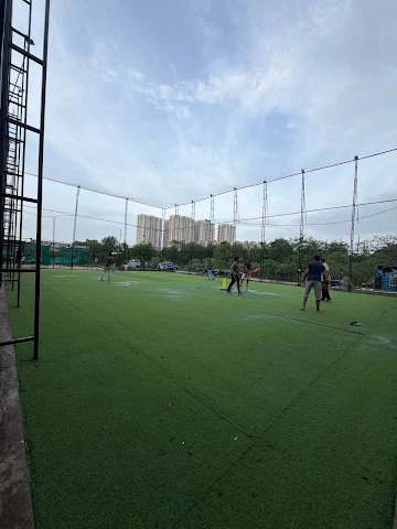 Turf photo 10