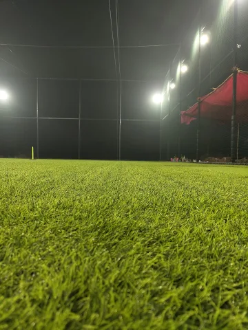 Turf photo 2