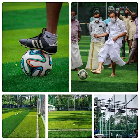 Turf photo 5