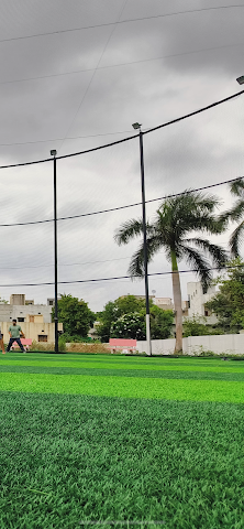 Turf photo 3