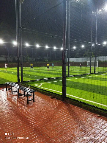 Turf photo 3