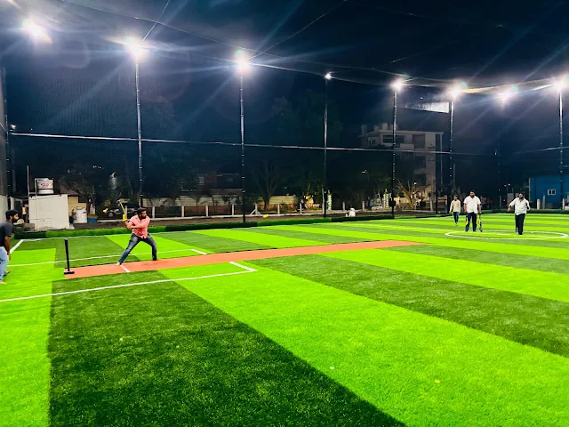 Turf photo 2