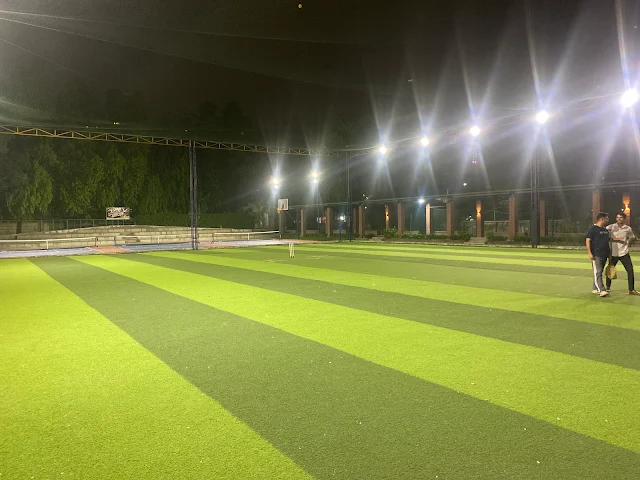 Turf photo 2