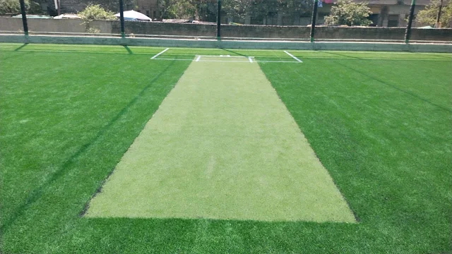 Turf photo 6