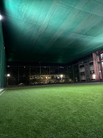 Turf photo 3